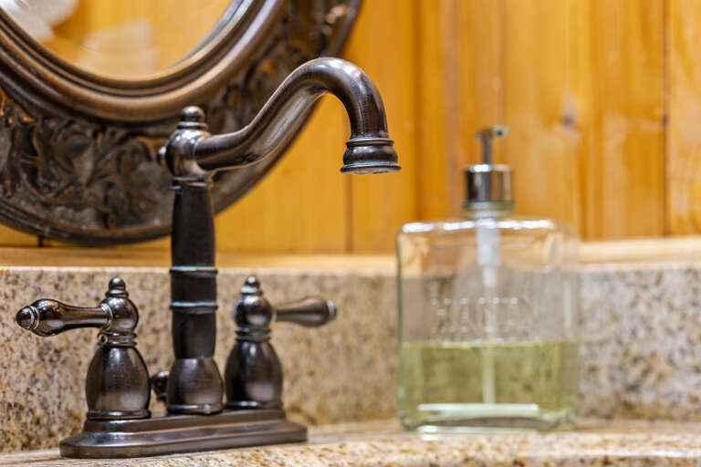 Gatlinburg Guest Bathroom Faucet