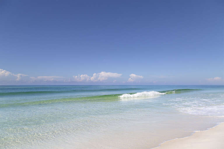 Grayton Beach 30A