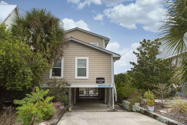 Sand Dollar Front