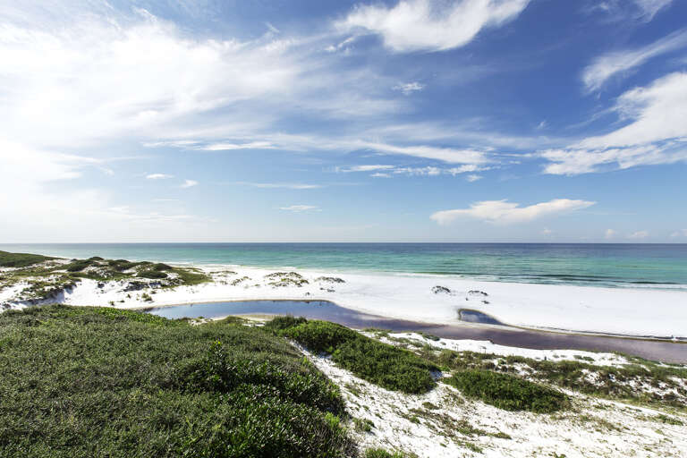 21-Old-Florida-Beach-Dunes