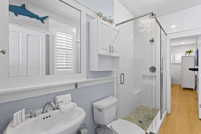 Aqua Guest Bathroom 3 Aqua Guest Bathroom 3