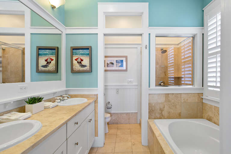 Aqua Primary Bathroom Aqua Primary Bathroom