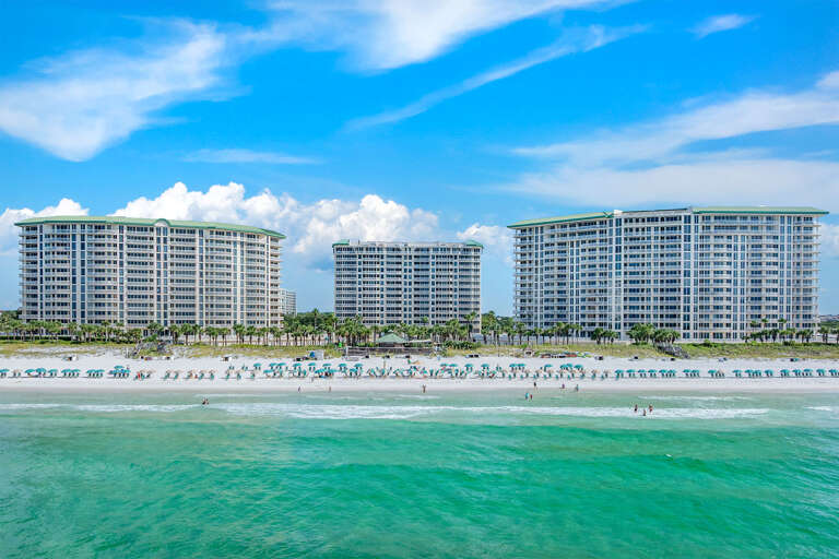 Silver Shells From Water