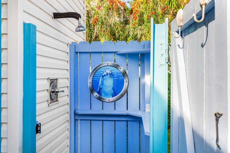Cotton Candy Outdoor Shower