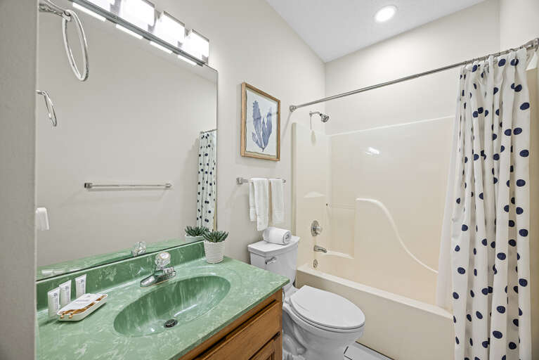 Lily Pad Guest Bathroom 2