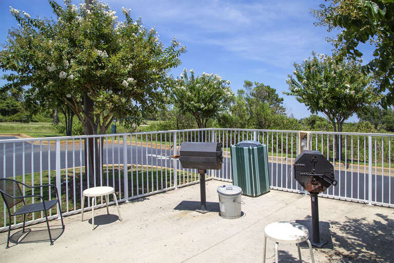 Ariel Dunes I Grills