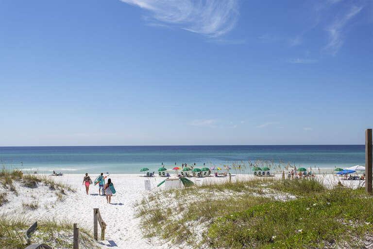 21-Snowdrift-Miramar-Beach 21-Snowdrift-Miramar-Beach