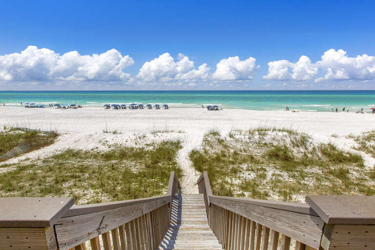 Pet Sand Beach Access Pet Sand Beach Access