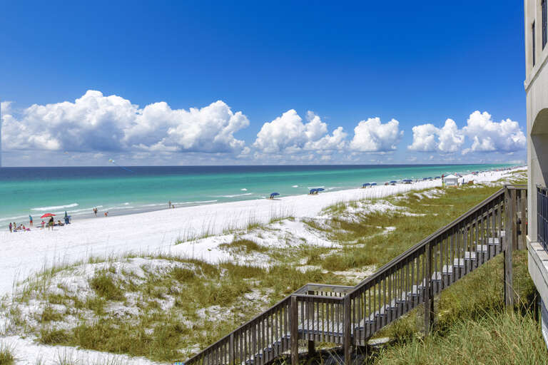 Pet Sand Beach View Pet Sand Beach View