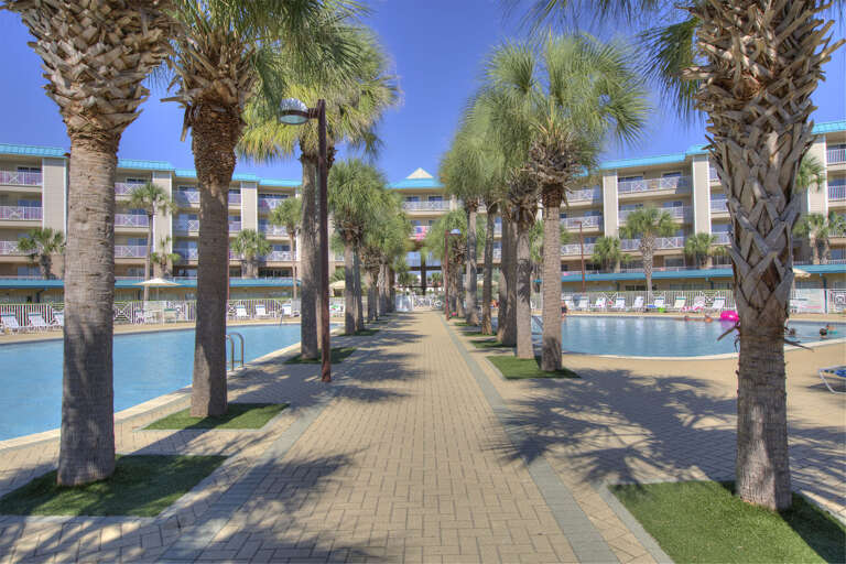 19-Amalfi-Coast-Palm-Trees