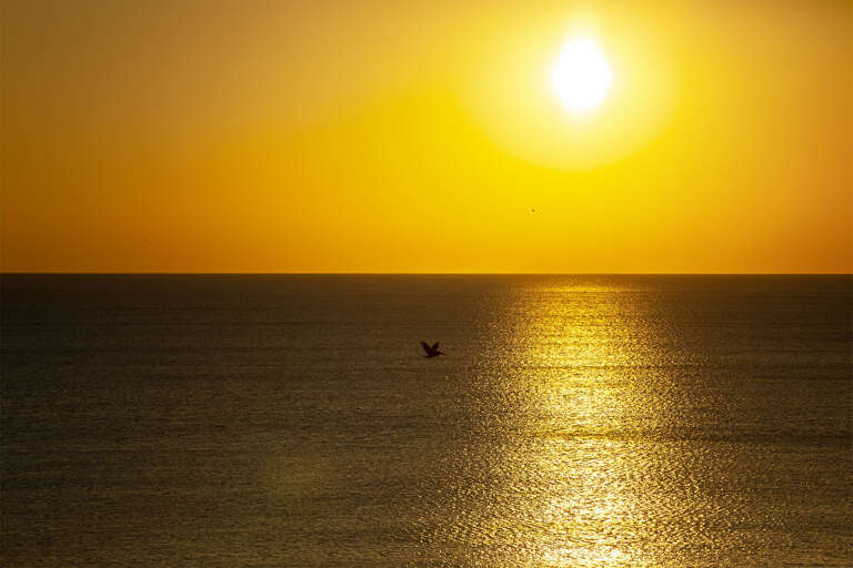 20-Good-Times-Gulf-Sunset