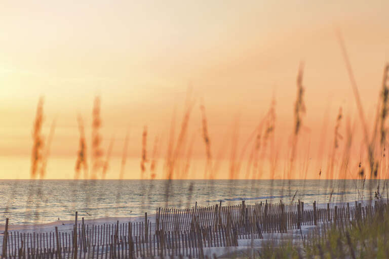 The Beautiful Beaches of South Walton!