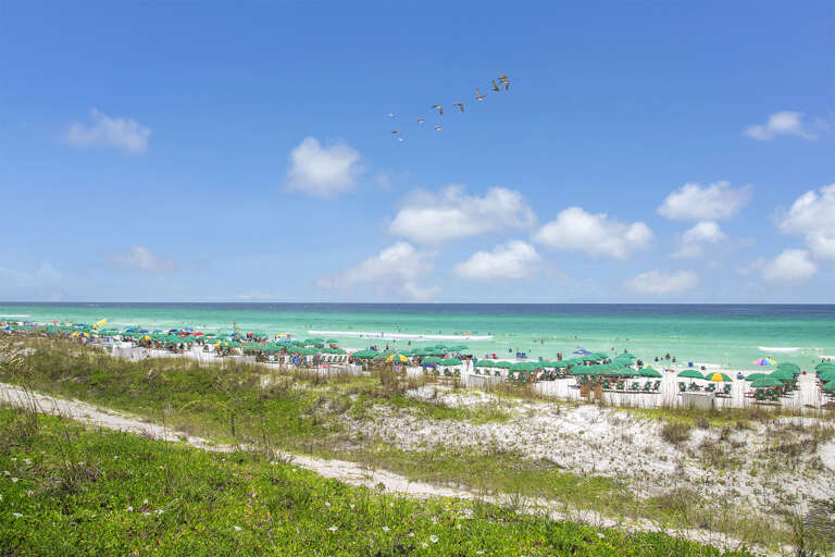 20-Maravilla-Miramar-Beach 20-Maravilla-Miramar-Beach