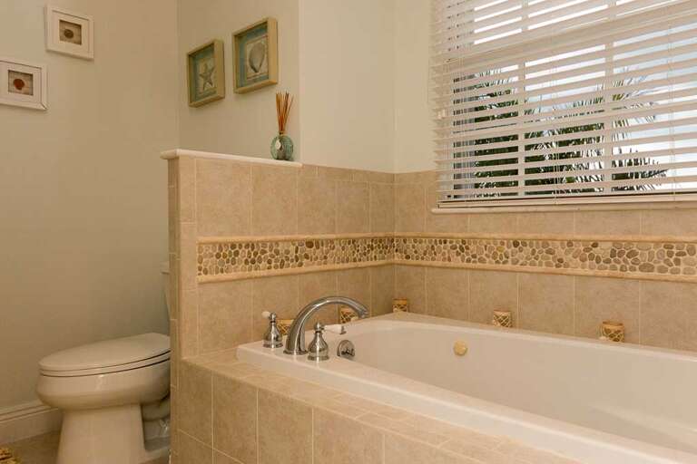 Master bath (tub area)