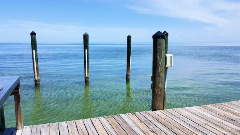 P Dock pilings end