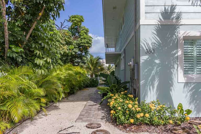 Side Yard