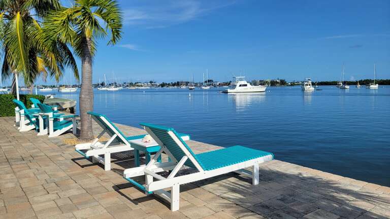 One Particular Harbor