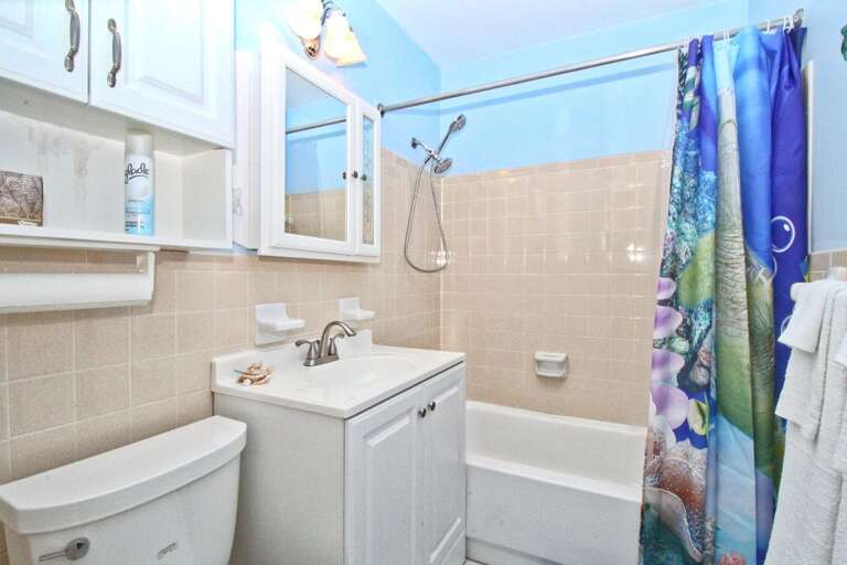 Guest bathroom