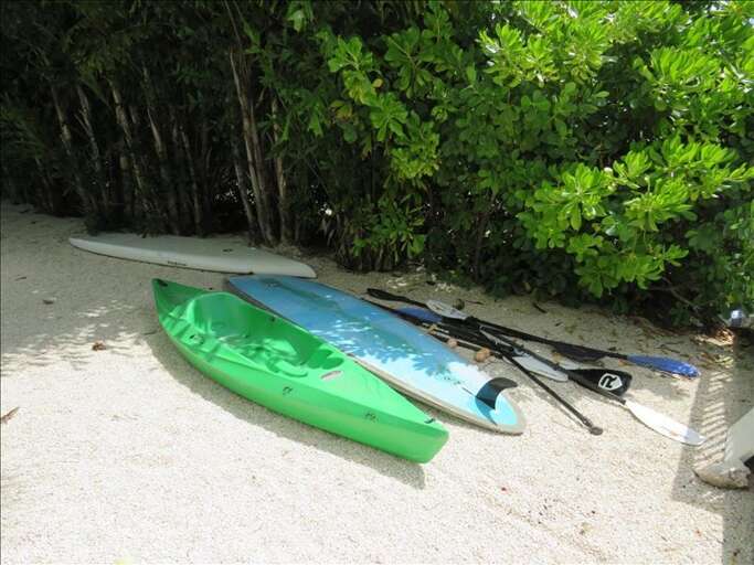 Explore with Kayaks and Paddle Boards