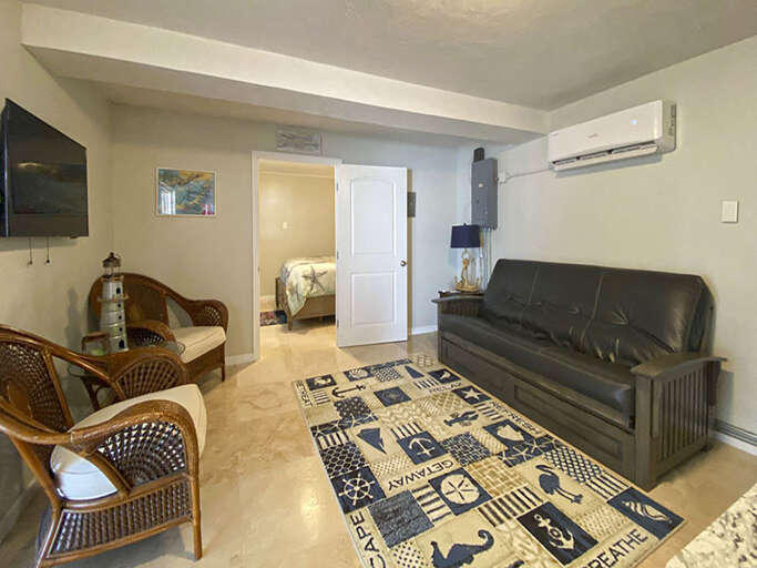 Downstairs Living Room 