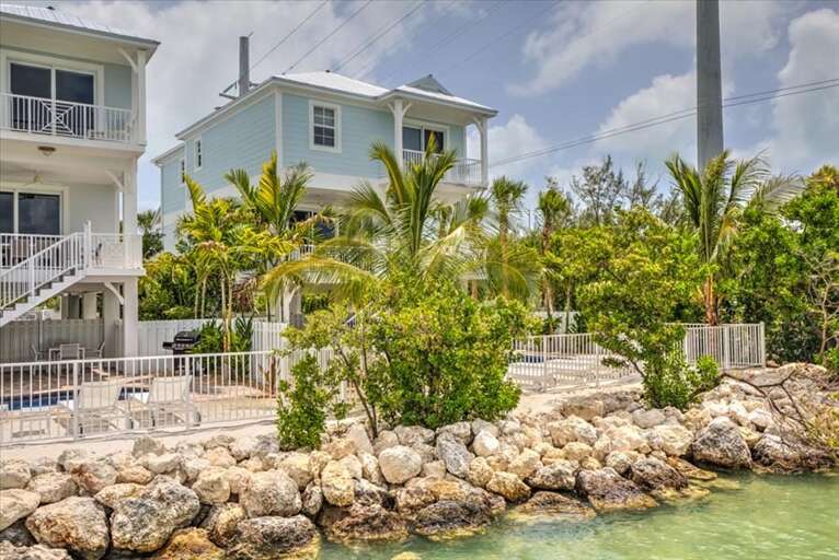 Closer look Closer look