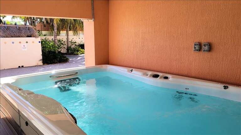 Swim Spa 2 Swim Spa 2