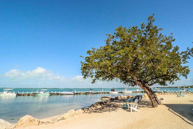 Beach area Beach area