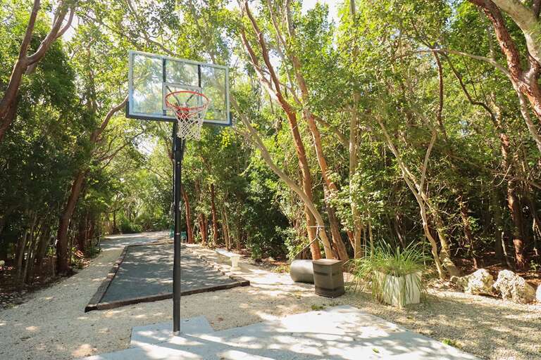 Basketball Hoop Basketball Hoop