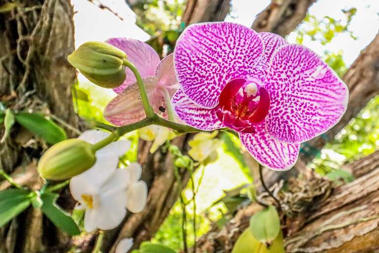 Find Rentals Find Rentals