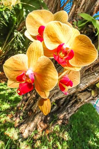 Find Rentals Find Rentals