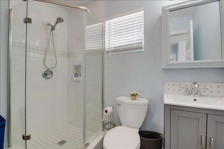 Guest Bath Jack and Jill 