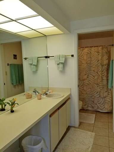 Master Bathroom Master Bathroom