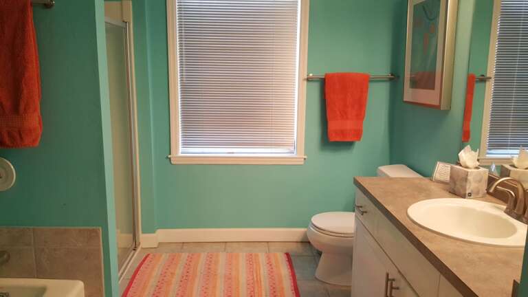 Hall bath with tub and shower Hall bath with tub and shower