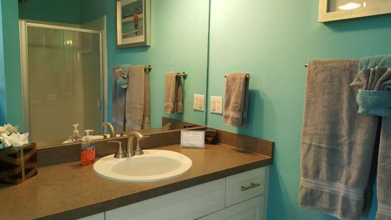 Master bath with shower Master bath with shower