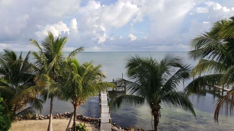 Views from the master porch