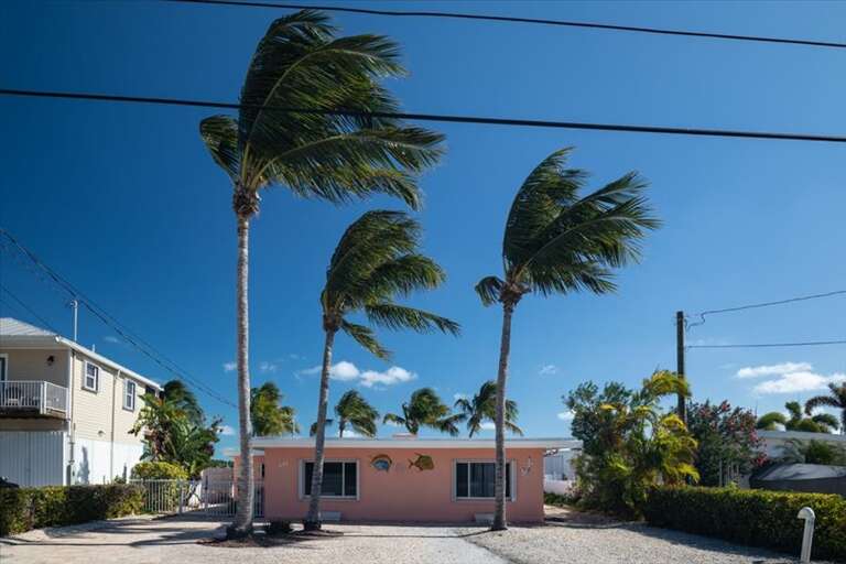 You are here You are here