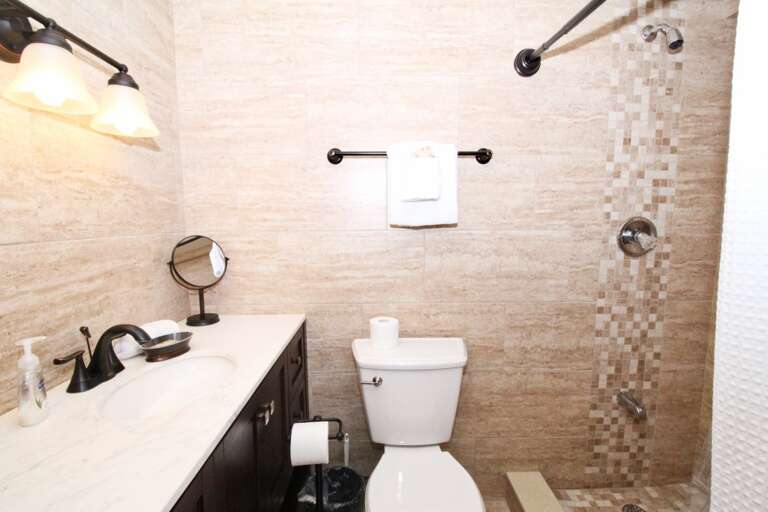 Lower Level Bathroom