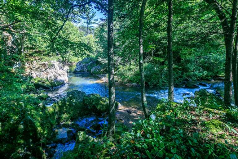 Just the right amount of privacy...