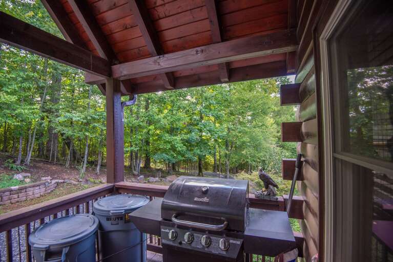 Gas Grill (propane provided)... Gas Grill (propane provided)...