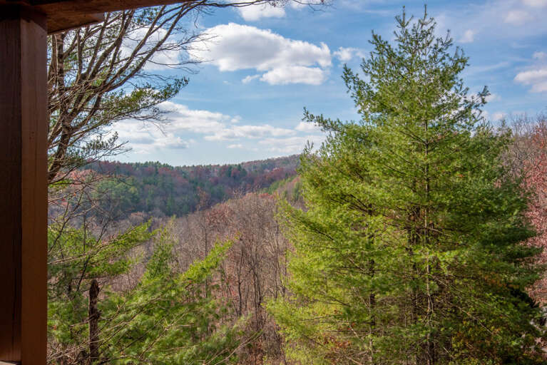 Beautiful views from your cabin...