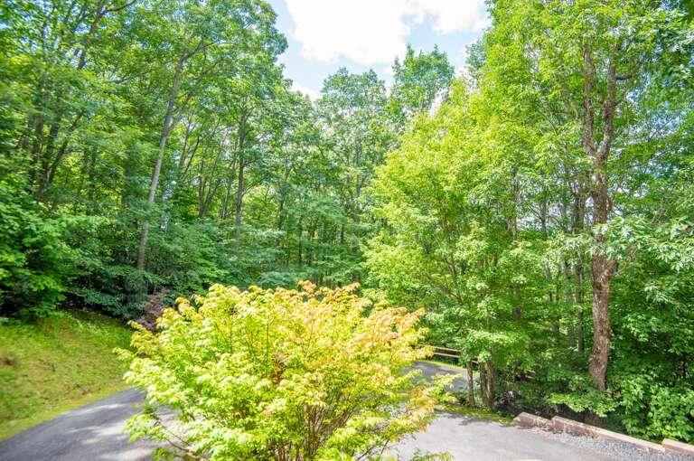 Nature and privacy...