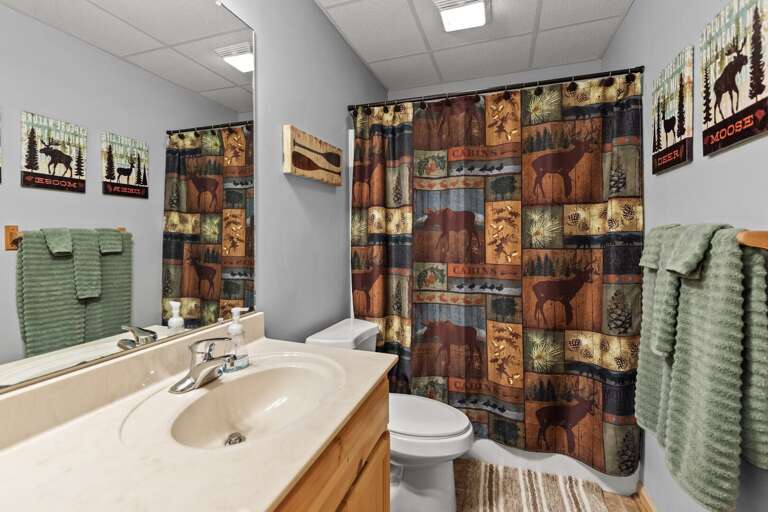 Full bathroom downstairs...