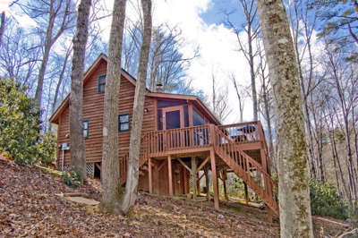 Mossy Top Log Cabin - West Jefferson