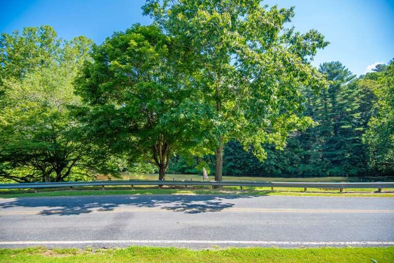 Overlooking the river from property...