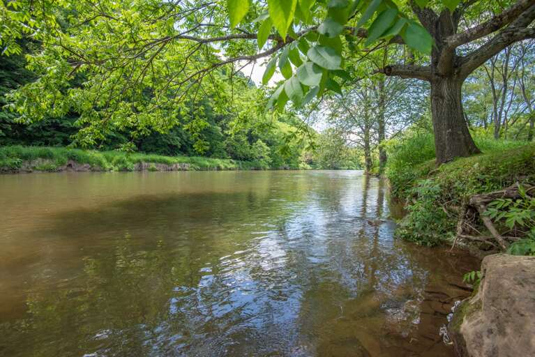 Your cabin is mere feet from your private piece of the New River...