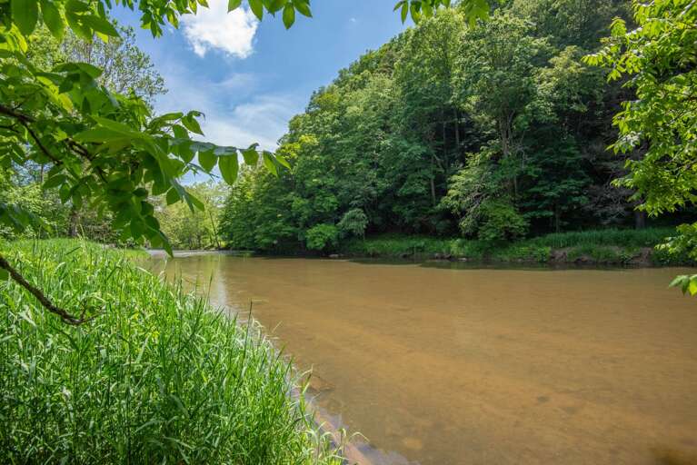 Fisherman's delight...