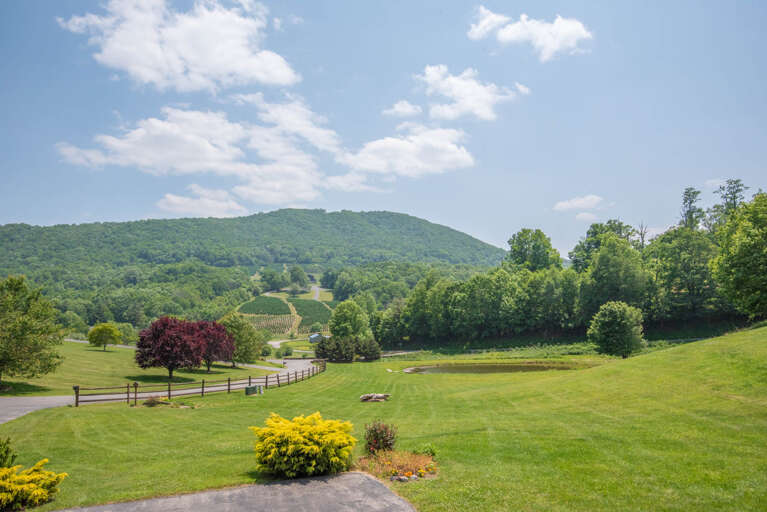 The views over your pond never get old...