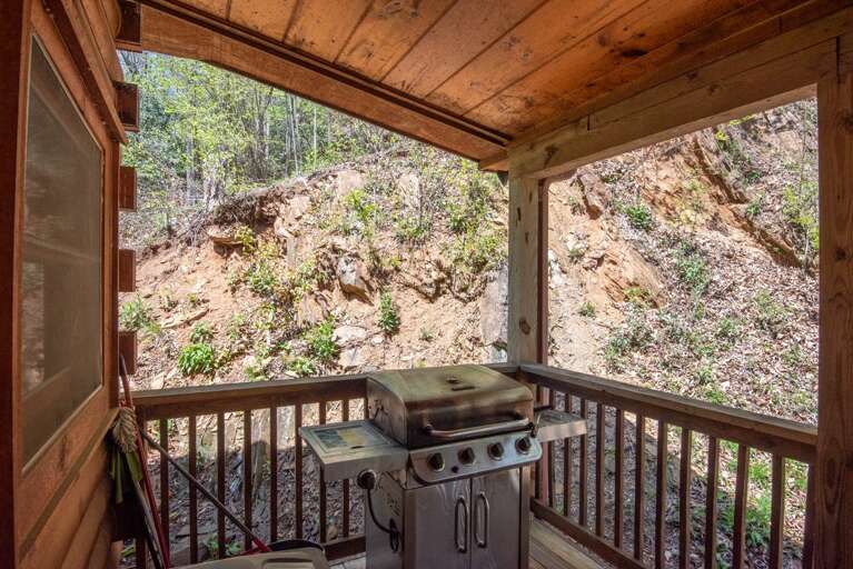 Gas grill (propane provided)...