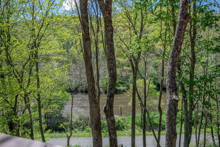 Overlooking the New River...