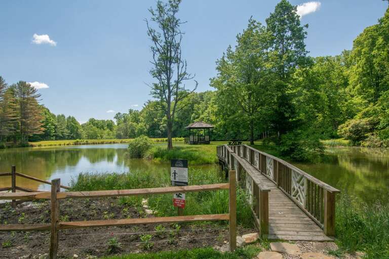 Little bridge and gazebo...